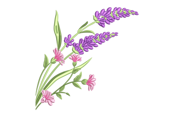 Lavender Pink Flowers